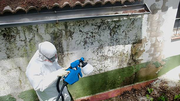 Trusted Mold Remediation service in Atlantic, VA - Cheap Mold Removal